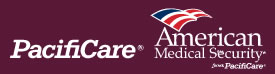 American Medical Security Group