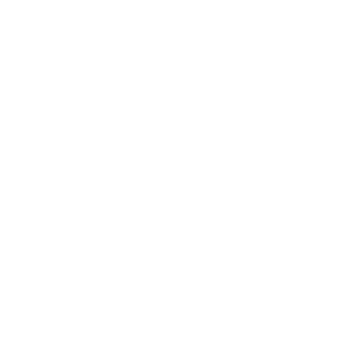 financial icon