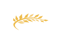 CSA 