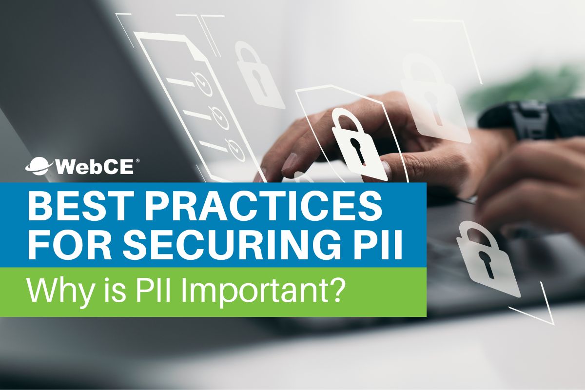 Best Practices for Securing PII: Why is PII important if it’s publicly available?