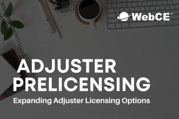 WebCE's Weekly Wrap-Up: August 24-30, 2024
