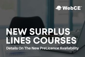 WebCE's Weekly Wrap-Up: August 24-30, 2024