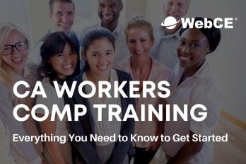 WebCE's Weekly Wrap-Up: August 24-30, 2024